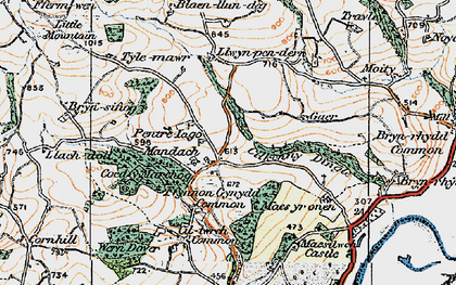 Old map of Blaenllundeg in 1919