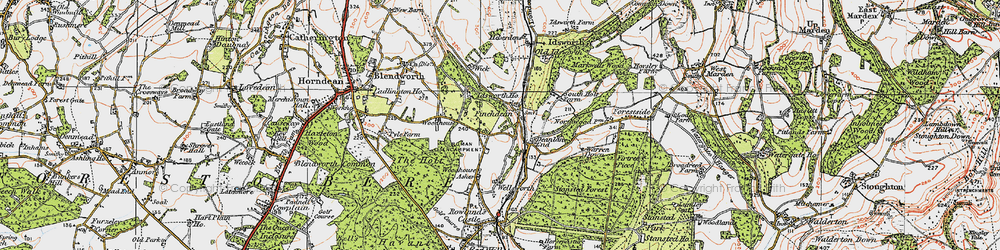 Old map of Finchdean in 1919