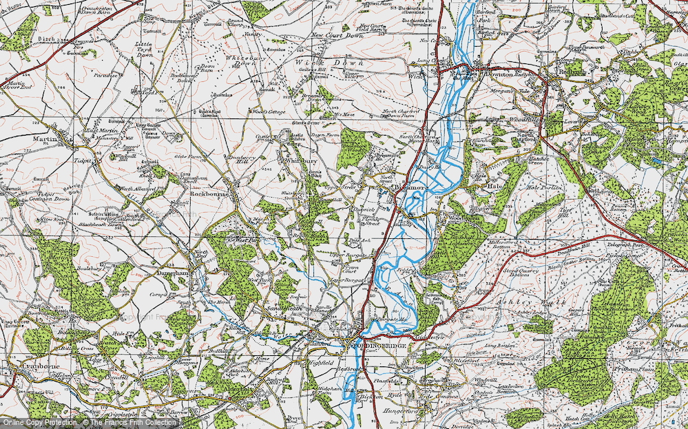 Old Map of Historic Map covering Whitsbury Common in 1919