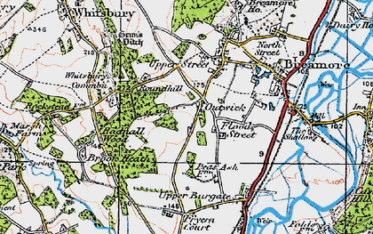 Old map of Whitsbury Common in 1919