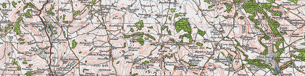 Old map of Ball Hill in 1919