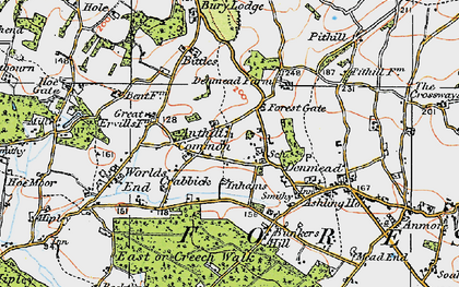 Old map of Forest Gate in 1919