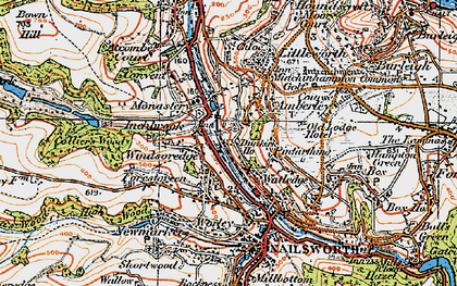 Old map of Forest Green in 1919