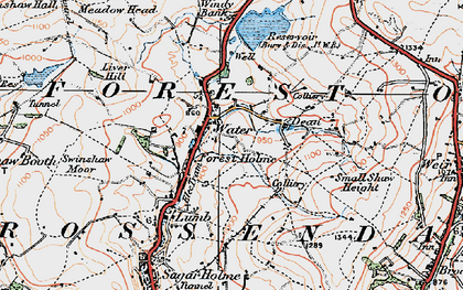 Old map of Forest Holme in 1924