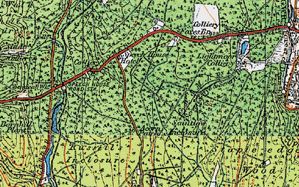 Old map of Forest of Dean in 1919