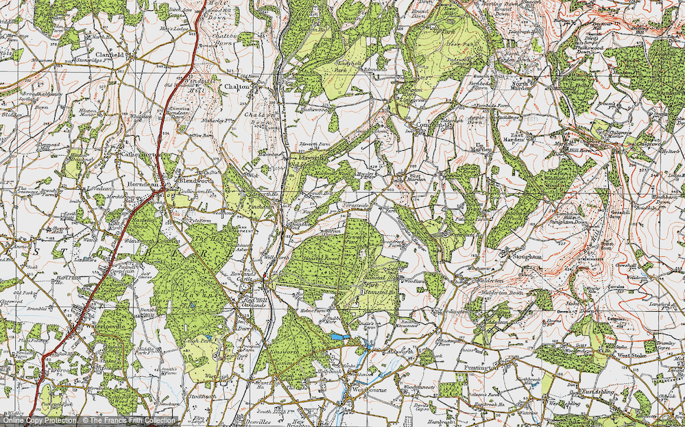 Old Map of Forestside, 1919 in 1919