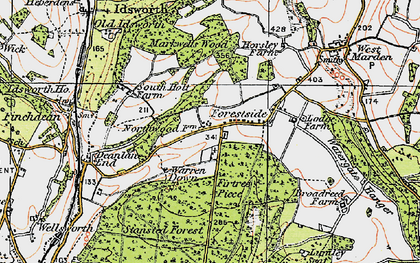 Old map of Forestside in 1919