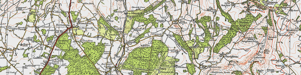 Old map of Forestside in 1919