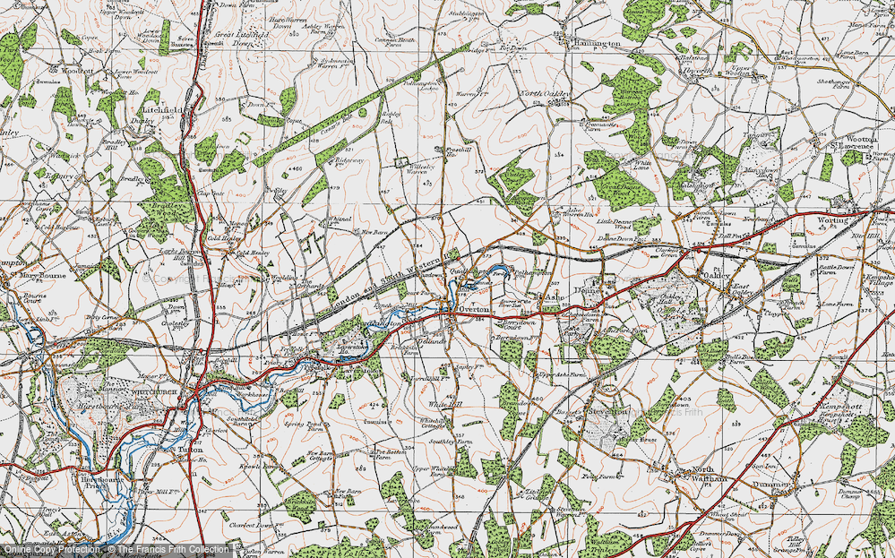Old Map of Foxdown, 1919 in 1919