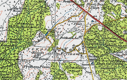 Old map of Fritham in 1919