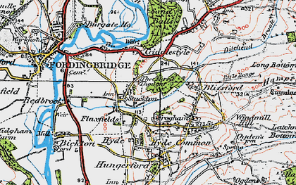 Old map of Frogham in 1919