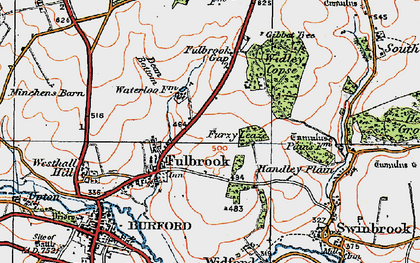 Old map of Widley Copse in 1919