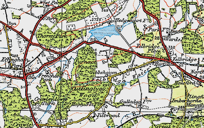 Old map of Furnace Wood in 1920