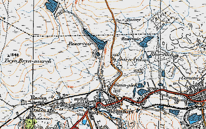 Old map of Garnlydan in 1919