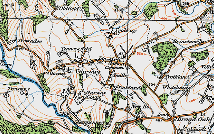 Old map of Garway in 1919