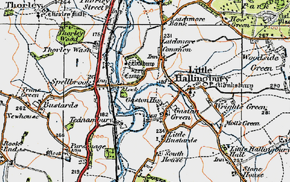 Old map of Gaston Green in 1919