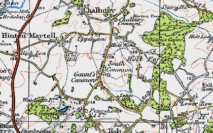 Old map of Gaunt's Common in 1919