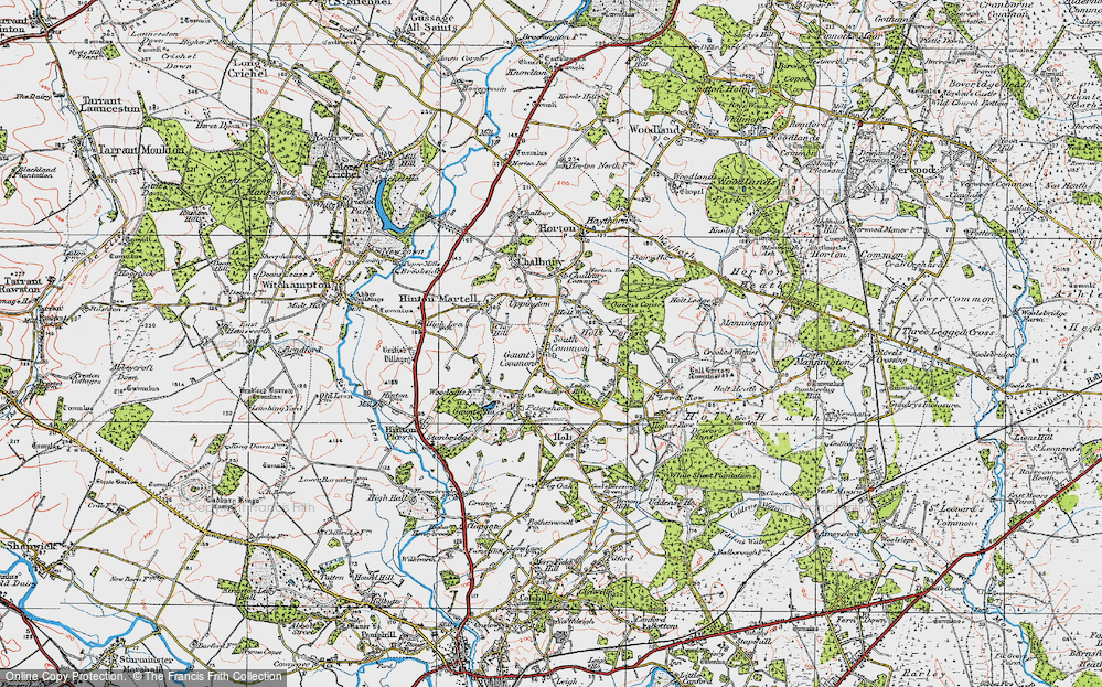 Gaunt's Common, 1919