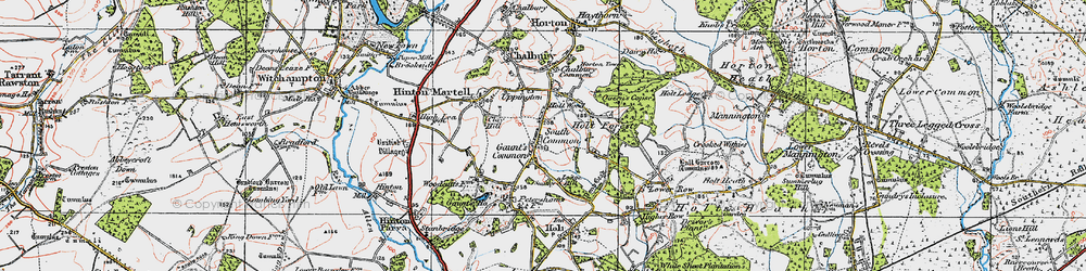 Old map of Gaunt's Common in 1919