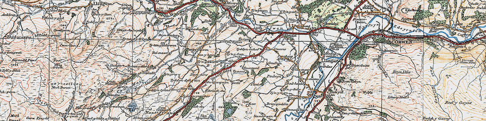 Old map of Tyddyn Dyfi in 1922