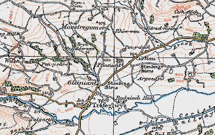 Old map of Bryndderwen in 1921