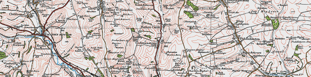 Old map of Godmanstone in 1919