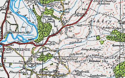 Old map of Godshill in 1919