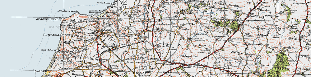 Old map of Higher Penwartha in 1919