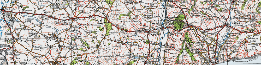 Old map of Aylesbeare Common in 1919