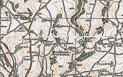 Old map of Buckland-Tout-Saints in 1919