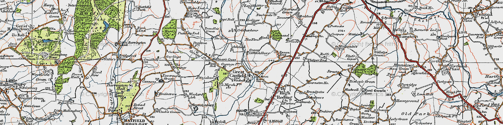 Old map of Great Canfield in 1919