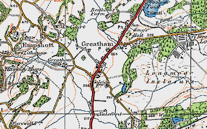 Old map of Greatham in 1919