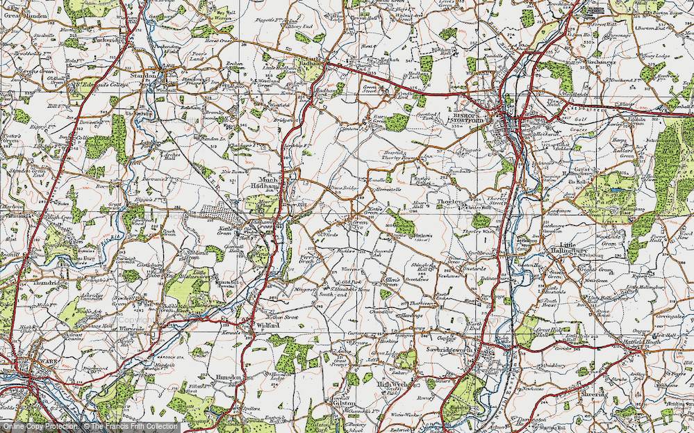 Old Map of Green Tye, 1919 in 1919