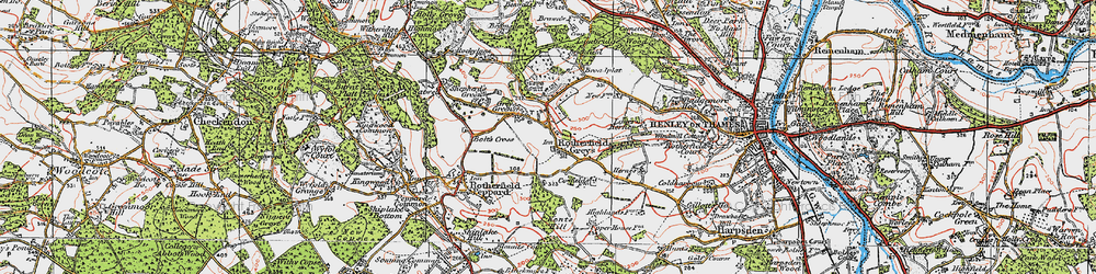Old map of Greys Green in 1919