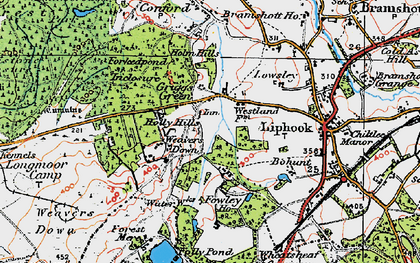 Old map of Griggs Green in 1919