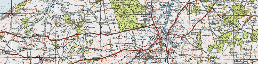 Old map of Gunville in 1919