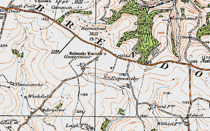 Old map of Gupworthy in 1919