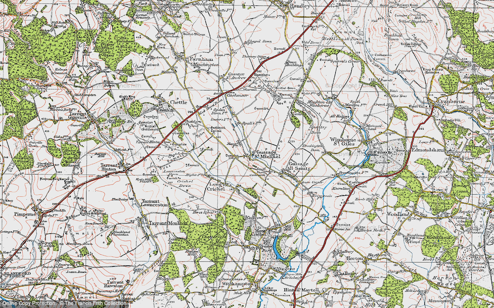 Old Map of Gussage St Michael, 1919 in 1919