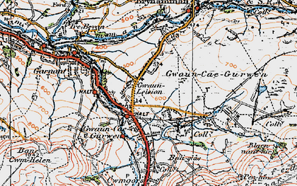 Old map of Gwaun-Leision in 1923