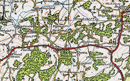 Old map of Hadlow Down in 1920