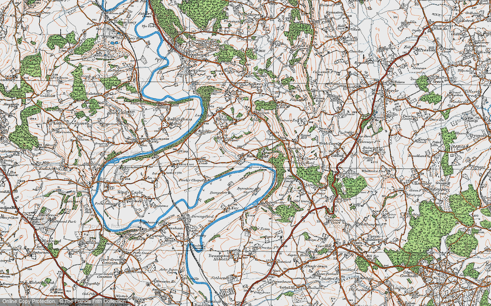 Old Map of Hales Wood, 1919 in 1919