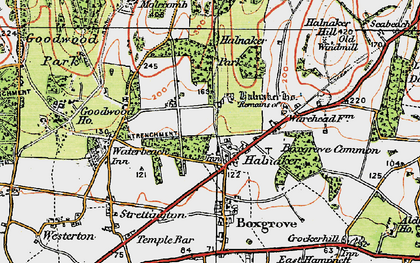 Old map of Halnaker in 1919