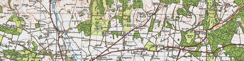 Old map of Halnaker in 1919