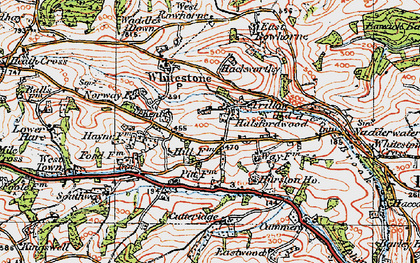 Old map of Halsfordwood in 1919