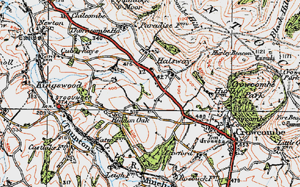 Old map of Halsway in 1919