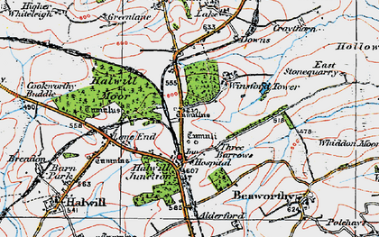 Old map of Halwill Junction in 1919