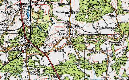 Old map of Hambledon in 1920