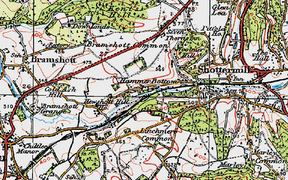 Old map of Hammer Bottom in 1919
