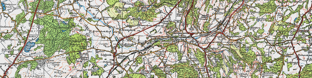 Old map of Bramshott Chase in 1919