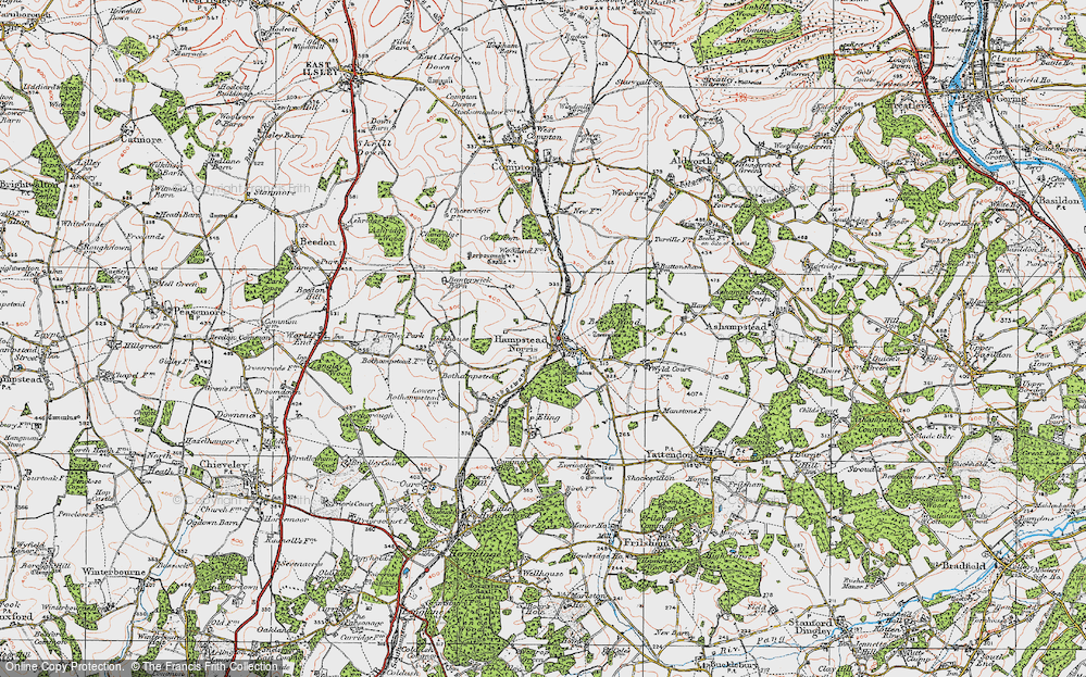 Old Map of Hampstead Norreys, 1919 in 1919